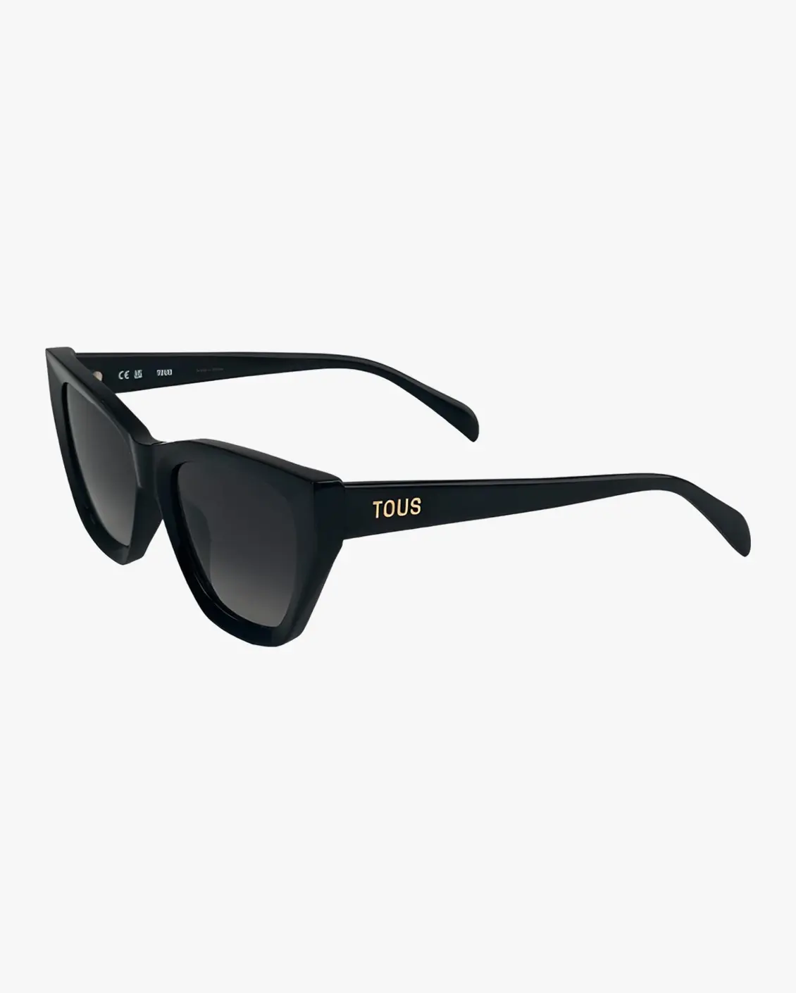 Square Sunglasses in Black
