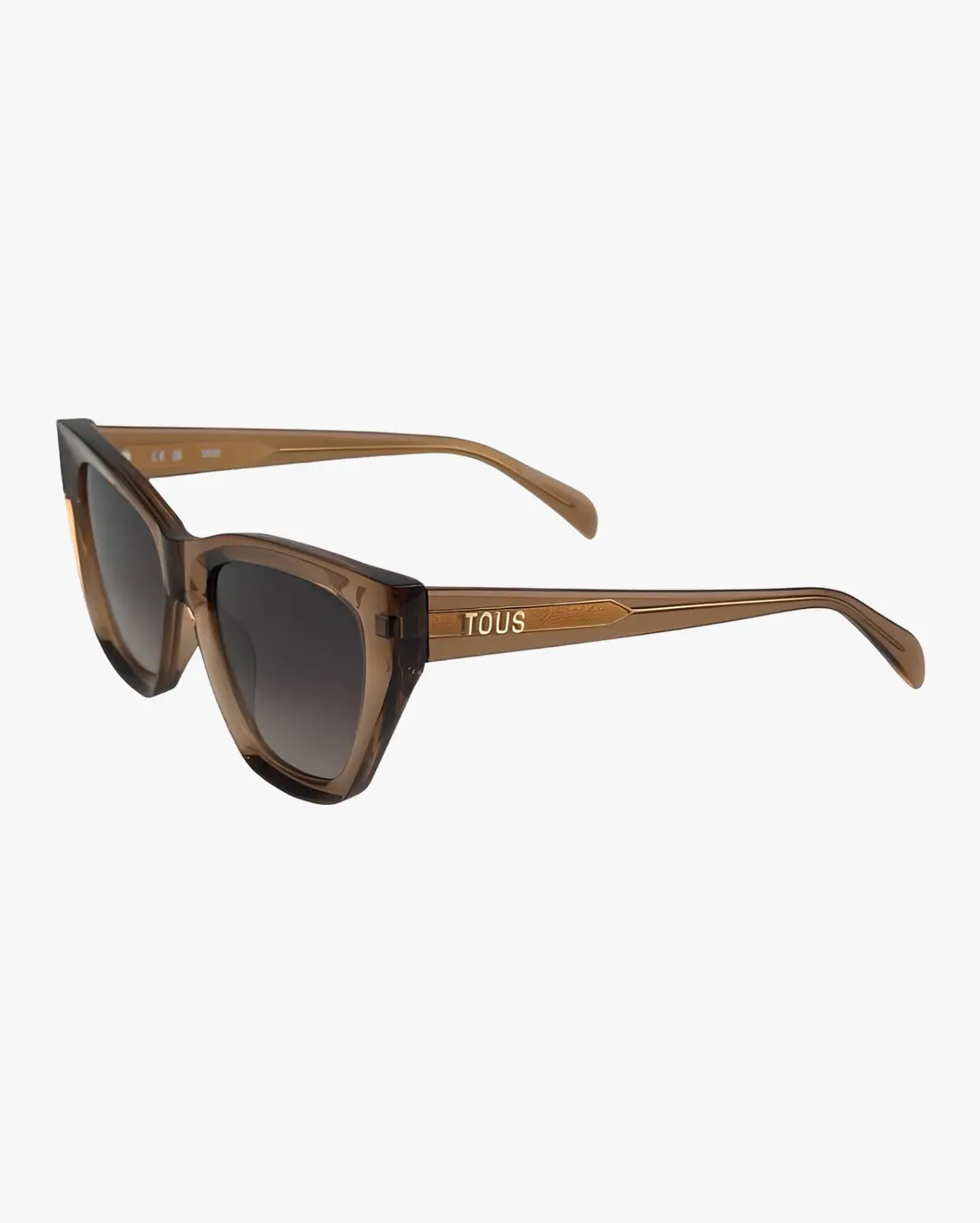 Square Sunglasses in Brown